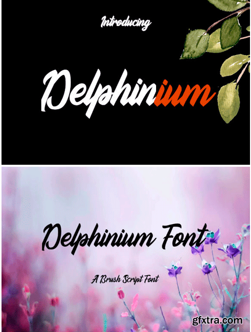 Delphinium Font