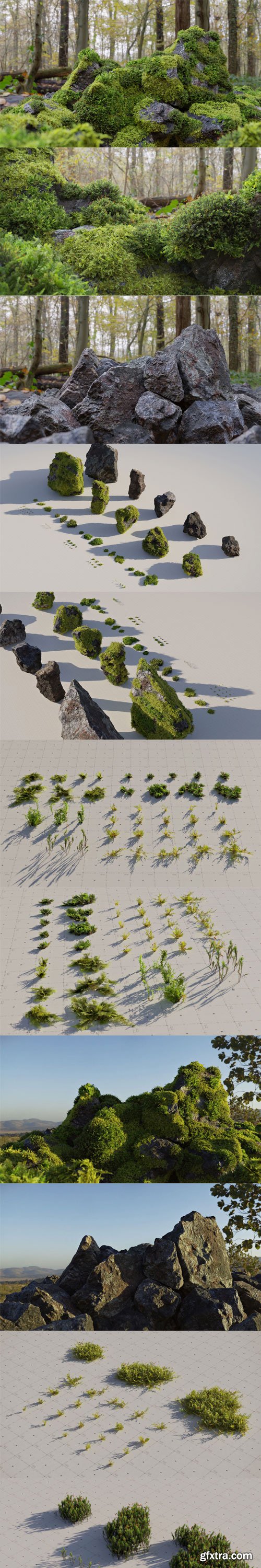 CgTrader - Moss 7 Species and Stones - PBR Asset Kit VR / AR / low-poly 3d model