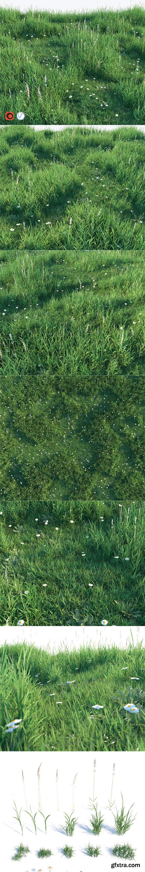 CgTrader - Grass set 3D model