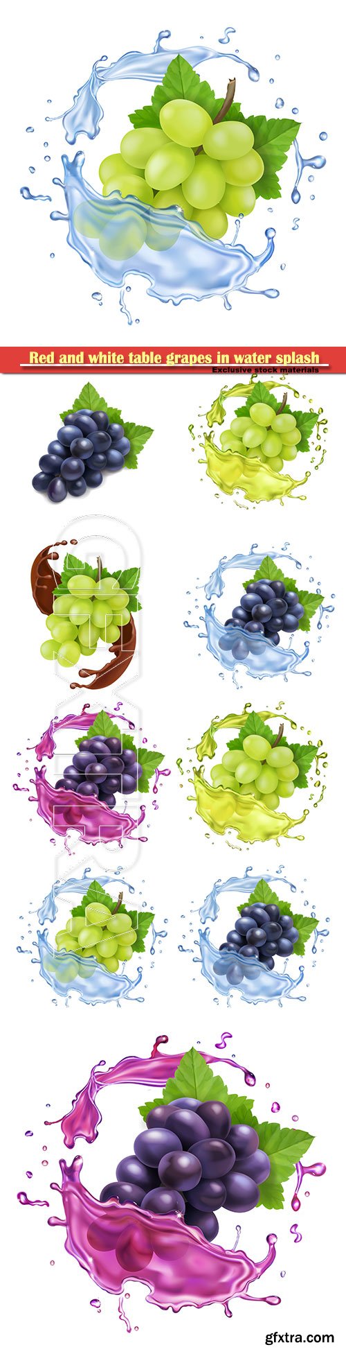 Red and white table grapes in water splash bunch of wine grapes realistic set