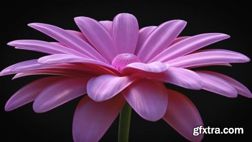 VideoHive Flower - Elegant Logo Reveal 15224562