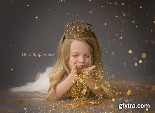 Milk & Honey Photography - Lisa DiGeso - Sparkle Sessions