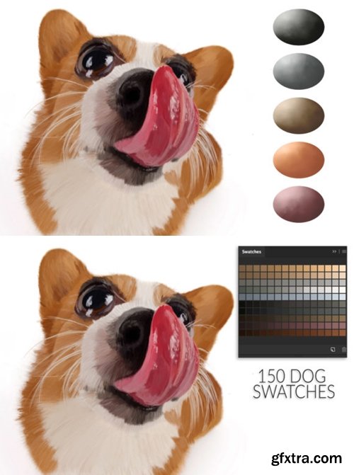 Dog Swatches