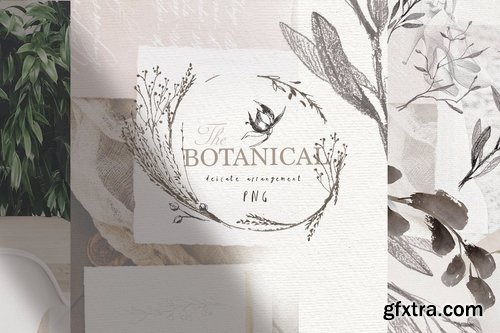 BOTANICAL LOGO ELEMENTS vol.3