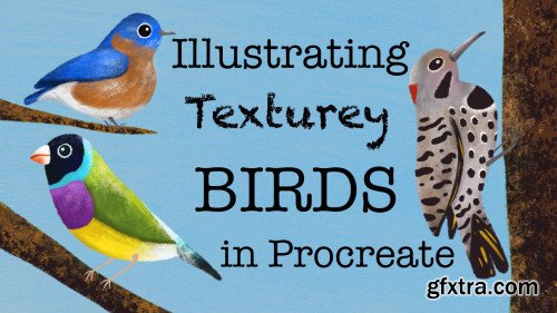 Illustrating Texturey Birds in Procreate