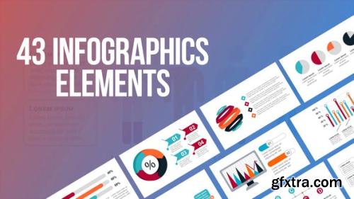 VideoHive Infographics 24119986