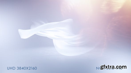 VideoHive Soft Clean Logo Reveal 24079294