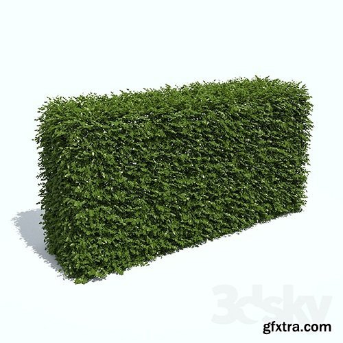 Regular hedges 3d Model