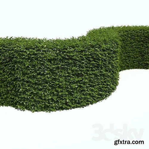 Regular hedges 3d Model