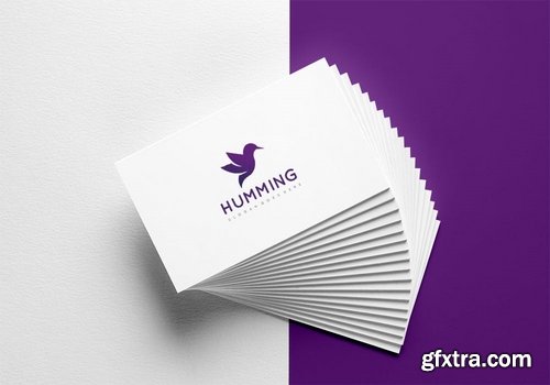 Hummingbird Logo