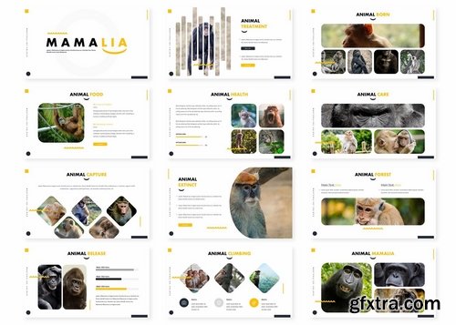 Mamalia - Powerpoint Google Slides and Keynote Templates