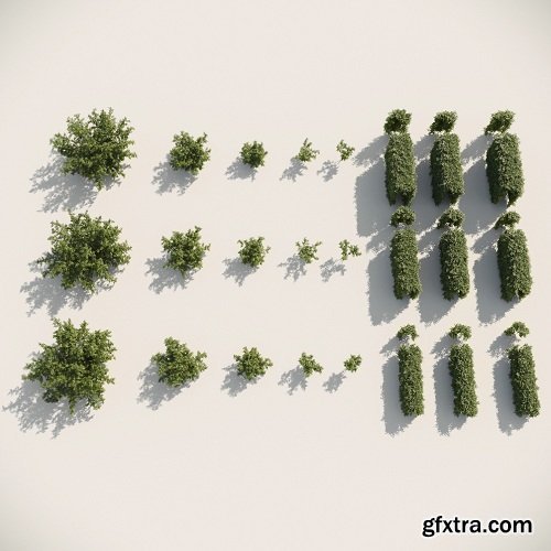 Bushes & Hedges for 3ds Max (Railclone pro/lite ready)