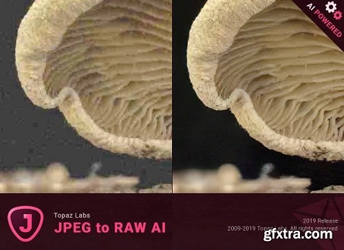 Topaz JPEG to RAW AI 2.1.2 MacOS