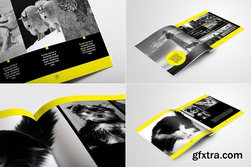 Photo Album Indesign Template