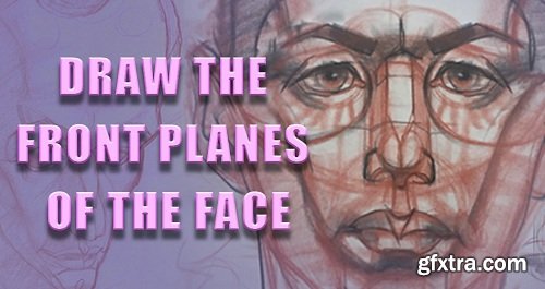 Draw the Head Front Planes Made Easy for Portraits and Character Design