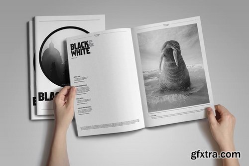 Black-White Portfolio Template