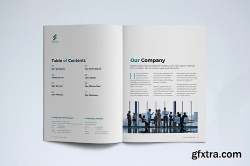 Company profile