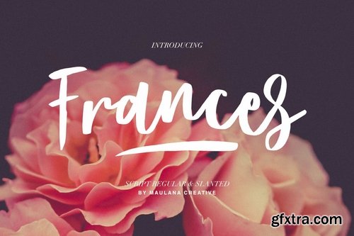 Frances Modern Font