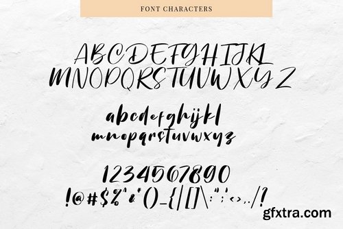 CM - Chellyne - Modern Script Font 3959148