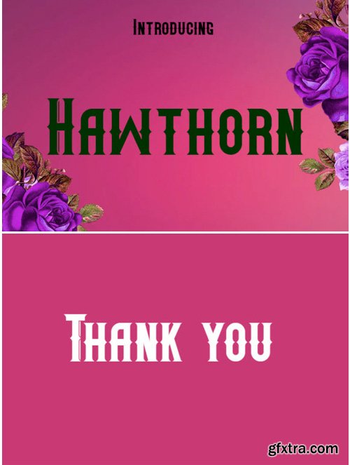 Hawthorn Font