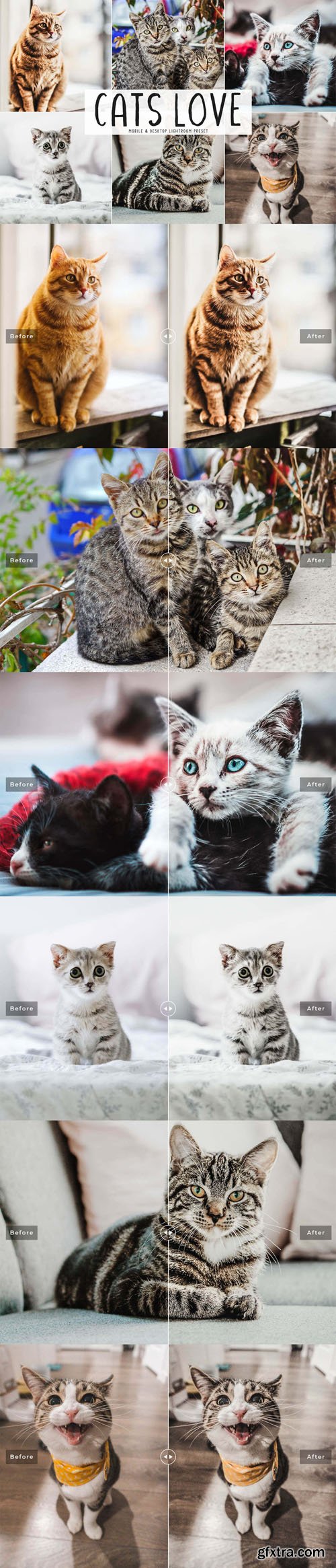 Cats Love Lightroom Presets - Mobile & Desktop