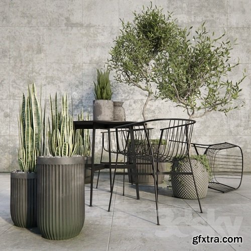 Outdoor plant set