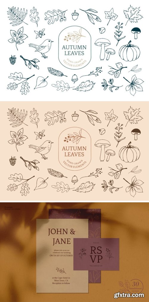 Fall Forest Leaf Vector Illustrations 1641548