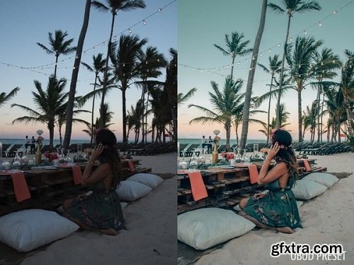 Lisa Homsy Bali Collection Lightroom Presets