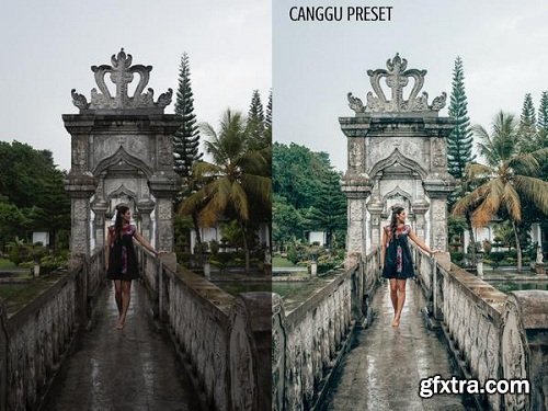 Lisa Homsy Bali Collection Lightroom Presets