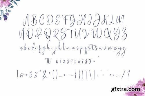 Bashira Brush Script