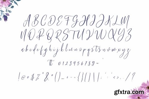 Bashira Brush Script