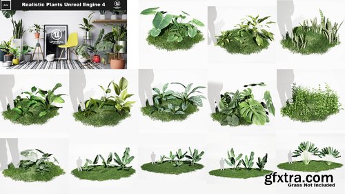 Cgtrader - Realistic Plants Pack - Unreal Engine 4 Low-poly 3D model