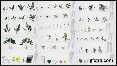 Cgtrader - Realistic Plants Pack - Unreal Engine 4 Low-poly 3D model