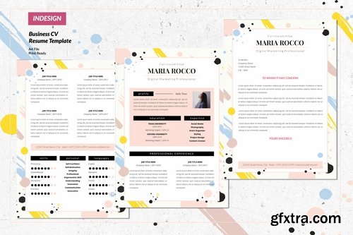 Digital Marketing Resume CV Vol. 41