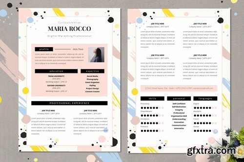 Digital Marketing Resume CV Vol. 41