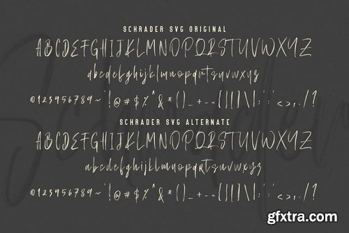 CM - SCHRADER SVG Brush Font - Free Sans 3972888