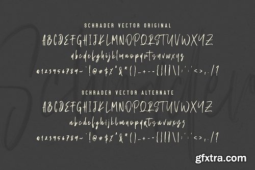 CM - SCHRADER SVG Brush Font - Free Sans 3972888