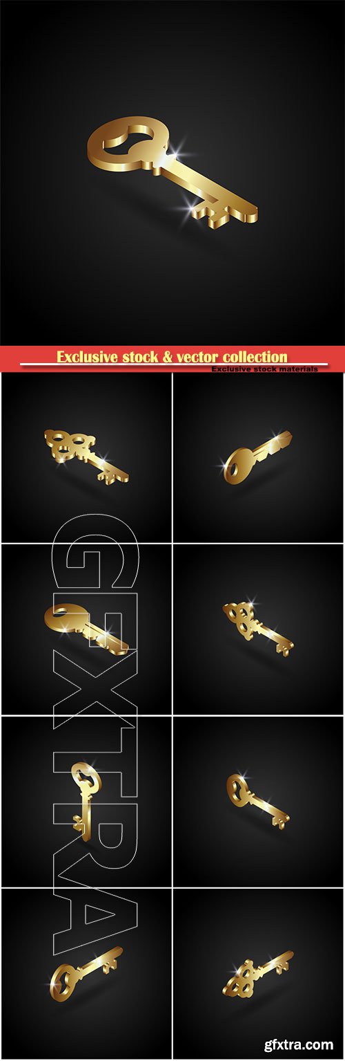 Luxury golden key vector illustration