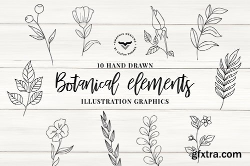 Botanical Elements Vector