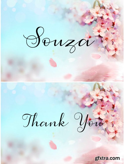 Souza Font