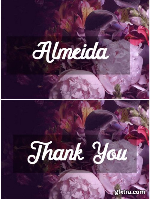 Almeida Font