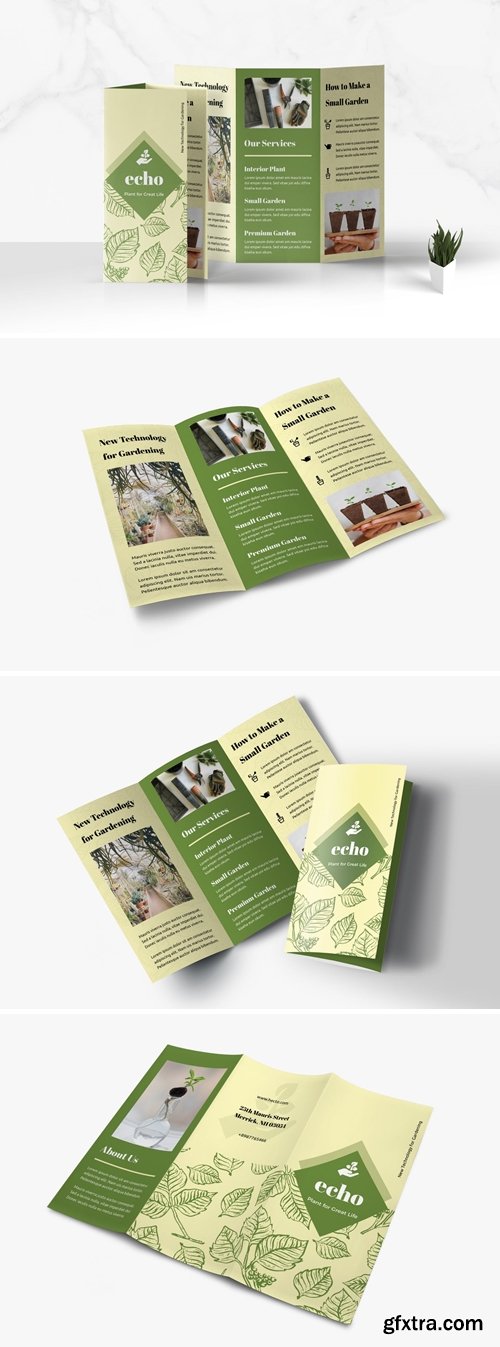 Trifold Business Brochure