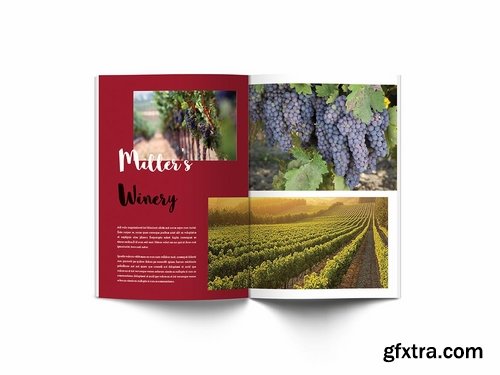 Wine Brochure