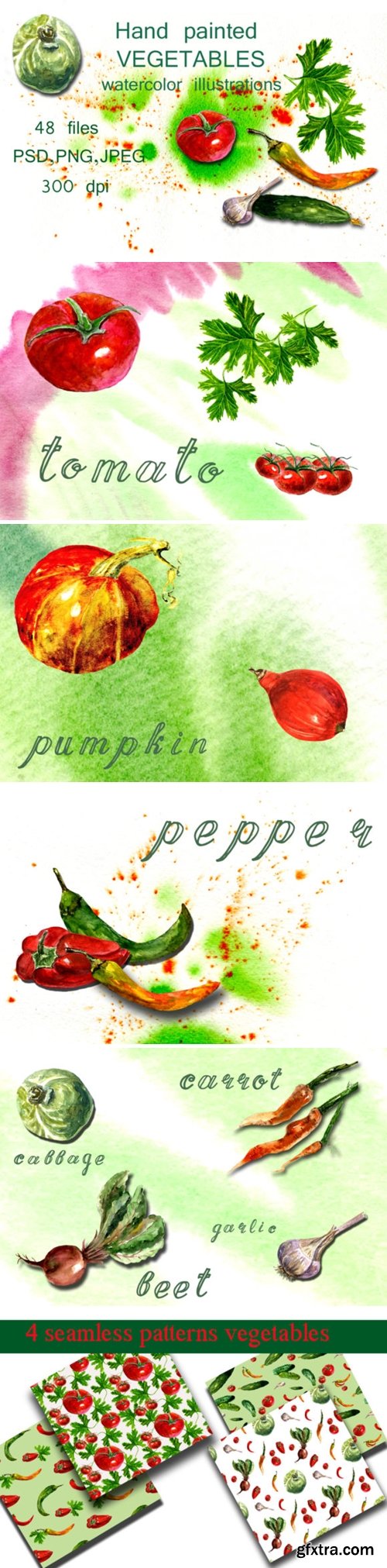 Watercolor Illustrations Vegetables 1657912