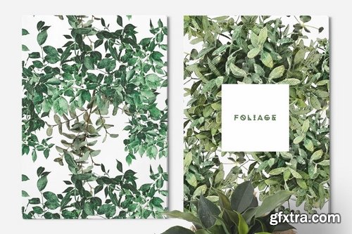 Plants & Foliage Seamless Patterns