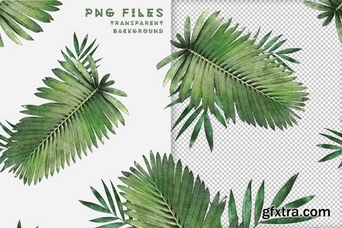 Plants & Foliage Seamless Patterns