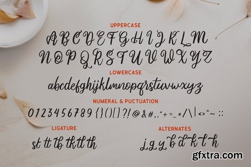 Ania Gamelia - Handlettering Script Font