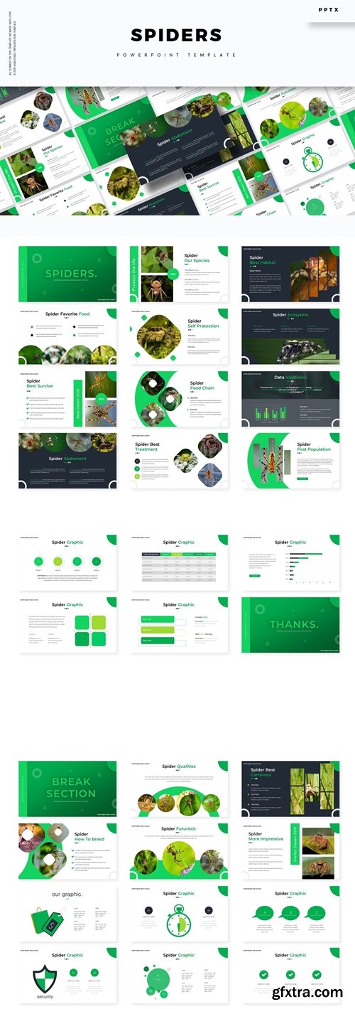 Spiders Powerpoint, Keynote and Google Slides Templates