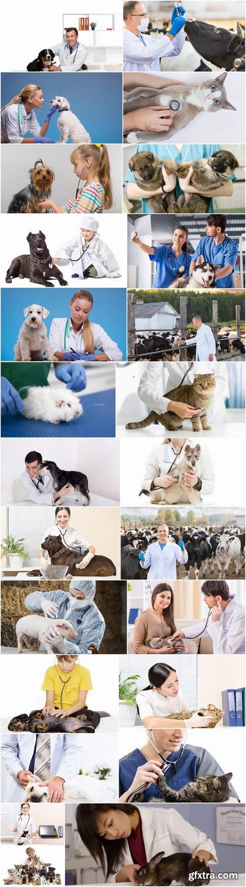 Different veterinarian 25 HQ Jpeg