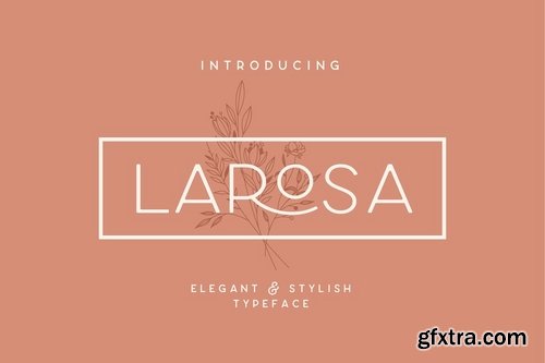 CM - Larosa Sans Elegant Typeface 3982547